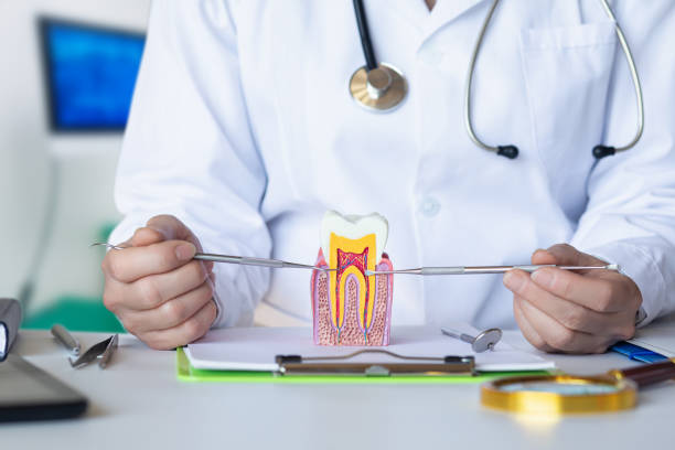 Best Emergency Root Canal Treatment in Frederic, WI
